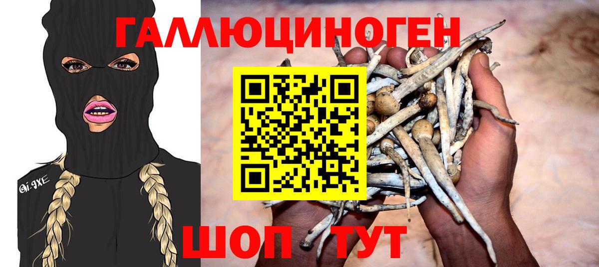Волгоград  Псилоцибиновые грибы Psilocybe  Псилоцибиновые грибы ЛСД  Вход с VPN 